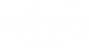 VCTV+ 2003-2004