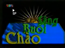 Chào buổi sáng (VTV1)(1995-1998)