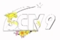 SCTV9 logo Tết 2024