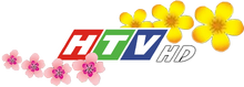 HTV HD logo Tet 2016 bản 2