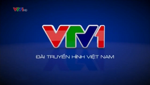 VTV1 (2014)(1, no clock)
