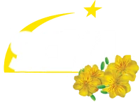 SCTV4 logo Tết 2016, 2017 bản 2
