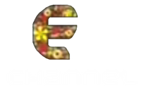 E Channel Tết 2016 (HD)