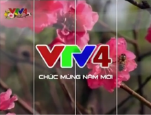 VTV4 (2014)(Tết giáp ngọ)