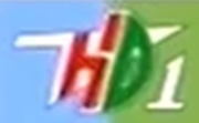 HDTV1 logo bản 2