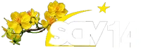 SCTV14 Tết 2014