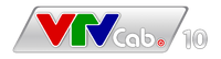 VTVcab 10