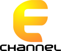 E Channel logo 2014-2016