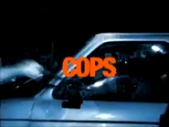 Network ID (Cops, 2002, 3).