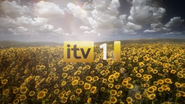 ITV1 ad ID - Sunflowers - 2010