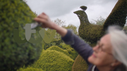 ITV ID - Topiary - 2015