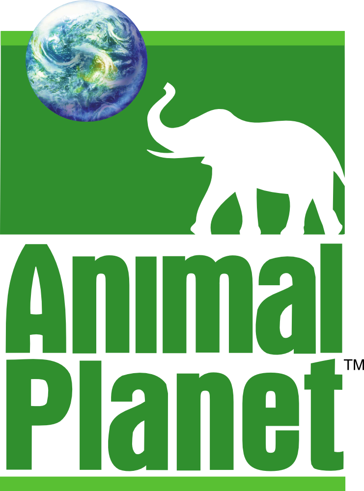 Animal Planet Projects :: Photos, videos, logos, illustrations and branding  :: Behance
