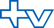 Switzveinian 'TV' logo