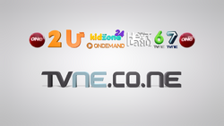 TVNE1, Logofanonpedia