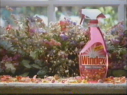 Windex commercial (1994, 2).