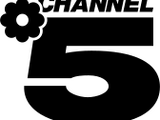 Channel 5 (Anglosaw)