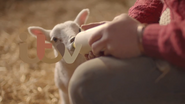 ITV ID - Lamb - 2013