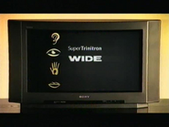 Sony Super Trinitron Wide commercial (1996, 1).