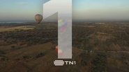 Network ID (Hot Air Balloons, 2021, 1).