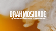 Brahma commercial (2022, 1).
