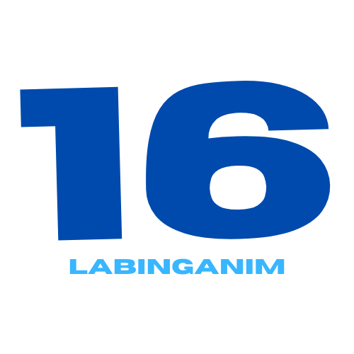bahay-tv-logofanonpedia-fandom