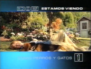 Network promo (Cats and Dogs, 2004).