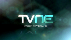 TVNE1, Logofanonpedia