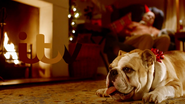 Network ID (Bulldog, Christmas 2014).