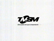 Sponsorship billboard (TMSM, 2004).