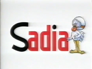 Sponsorship billboard (Sadia, 2002).