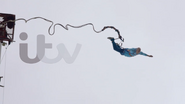 Network ID (Bungee Jump, 2013).