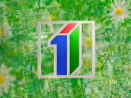 Network ID (Spring 1996).