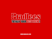 Bradlees commercial (2004).