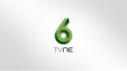 TVNE1, Logofanonpedia