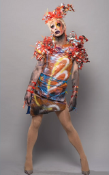 Single-Use Queens Look – Plastic
