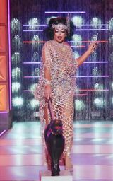 Grand Finale Eleganza - Shannel