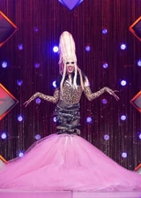 Look de 'Coronation Eleganza'