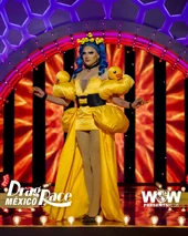 Look de 'Amarillo Como el Sol'