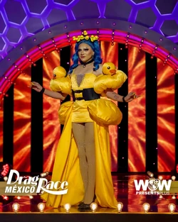 LunaLansmanDRMX2YellowLook