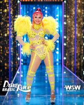 Guest Judge Look
