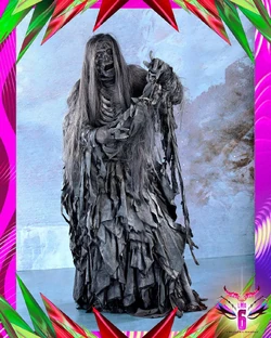 Braulio8000MonumentLook