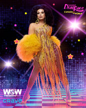 Promo Look