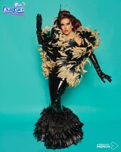 Arriba La Pluma Look