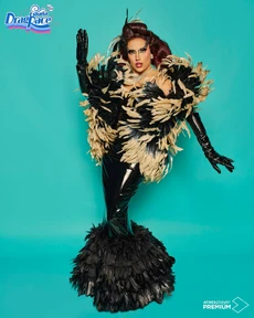 CloverBishFeathersLook