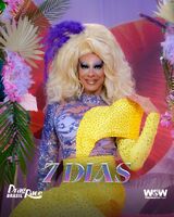 Countdown Promo