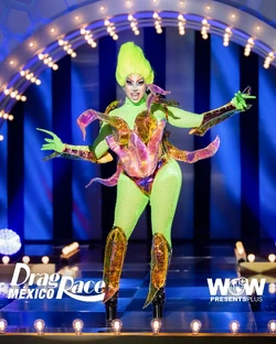 AvaPocketDRMX2HometownLook