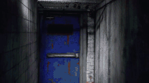 Entrance Look