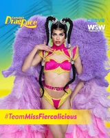 Promo #TeamMissFiercalicious