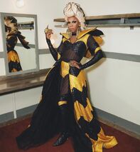 Reunion Look