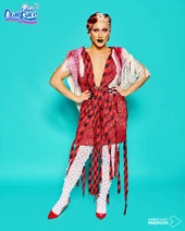 Look de 'Regiones' — Aragón